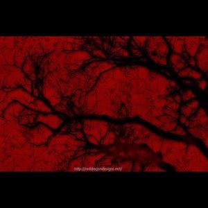 Meet your Posher, Gia